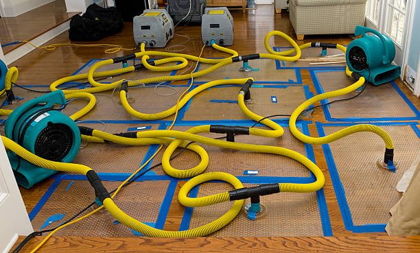 Professional Sewage Cleanup technician working in North Bend, OH